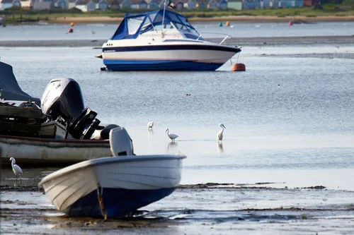 Egrets boats This landscape photograph shows a group of egrets wading in shallow water near several small boats, including a motorboat and a sailing boat, during a spring morning in Christchurch, Dorset, United Kingdom. In the background, colorful beach huts are visible on the shoreline, which is a local landmark in the area. The image highlights transport by boats commonly found along the coast in this region, emphasizing the connection between local wildlife and human activity on the water. The lighting and overall atmosphere indicate that the picture was taken shortly after sunrise, with the soft springtime sunlight reflecting off the water and boats.